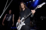 CATTLE DECAPITATION